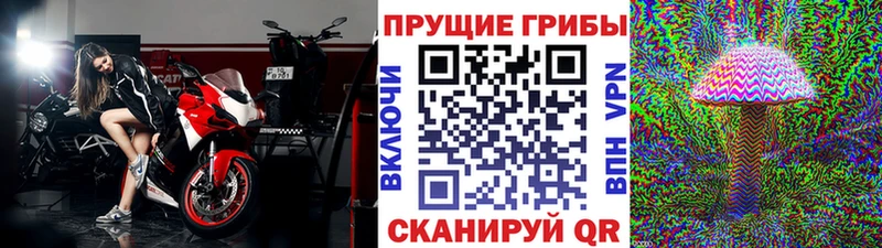 KRAKEN   Щёлково  Псилоцибиновые грибы мухоморы 